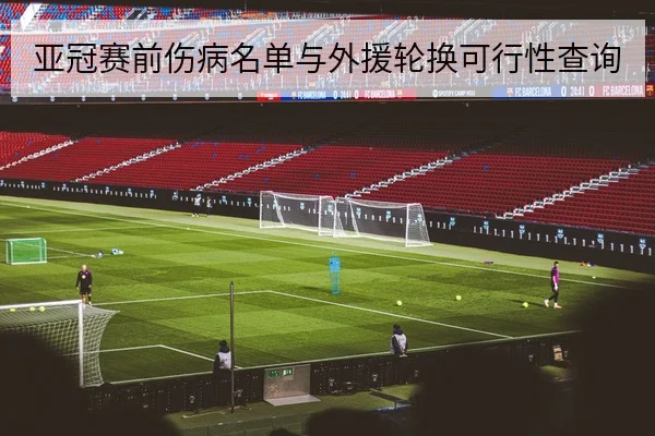 亚冠赛前伤病名单与外援轮换可行性查询